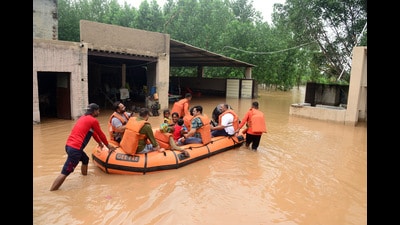 Aam Aadmi Party MP Sushil Rinku along with the National Disaster Response Force (NDRF) team move the Phillaur residents stuck in their houses due to waterlogging to a safer place, on Monday. (ANI) Aam Aadmi Party MP Sushil Rinku along with the National Disaster Response Force (NDRF) team move the Phillaur residents stuck in their houses due to waterlogging to a safer place, on Monday. (ANI)