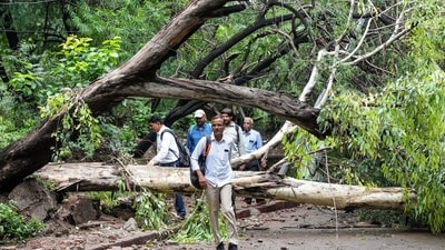 Commuters navigate their way through a fallen tree caused by intense monsoon rainfall in New Delhi on Monday. (PTI) Commuters navigate their way through a fallen tree caused by intense monsoon rainfall in New Delhi on Monday. (PTI)