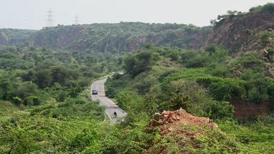 The bill would also cover only land that has been declared or notified as a forest under the Indian Forest Act, 1927, or under any other law (HT) The bill would also cover only land that has been declared or notified as a forest under the Indian Forest Act, 1927, or under any other law (HT)