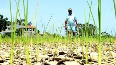 India defines average, or normal, rainfall as between 96% and 104% of a 50-year average of 89 cm for the entire four-month season. El Nino, a warming of ocean surface temperatures in the eastern and central Pacific that typically occurs every few years, is linked to crop damage, fires and flash floods. (File Photo) India defines average, or normal, rainfall as between 96% and 104% of a 50-year average of 89 cm for the entire four-month season. El Nino, a warming of ocean surface temperatures in the eastern and central Pacific that typically occurs every few years, is linked to crop damage, fires and flash floods. (File Photo)