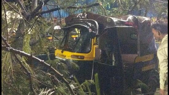 Auto driver injured in tree collapse in Thane