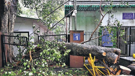 A fallen tree at Patiala Court in New Delhi on Monday. (Vipin Kumar/HT Photo)