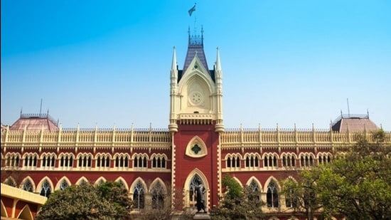The state election commission’s assurance to the Calcutta high court came a day before counting of votes of the panchayat elections