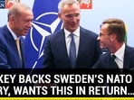 TURKEY BACKS SWEDEN'S NATO ENTRY, WANTS THIS IN RETURN TURKEY BACKS SWEDEN'S NATO ENTRY, WANTS THIS IN RETURN