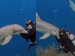 This dolphin cuddling a woman is too cute to miss. This dolphin cuddling a woman is too cute to miss.