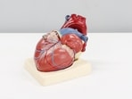 Robotic cardiac surgery: Expert on advantages of robot-assisted heart surgery 