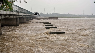 Yamuna river in Delhi (ANI)