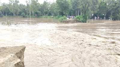 Seven Haryana dists more affected by excessive rainfall