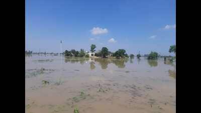 Specific incidents have been reported, such as the flooding of the Indo-Pak fencing line and the submergence of paddy crops near the Dhussi Bundh area. (HT PHOTO) Specific incidents have been reported, such as the flooding of the Indo-Pak fencing line and the submergence of paddy crops near the Dhussi Bundh area. (HT PHOTO)