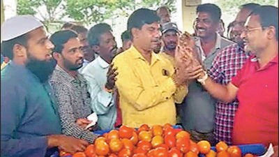 The price of tomatoes have been soaring across the state. (HT Photo) The price of tomatoes have been soaring across the state. (HT Photo)