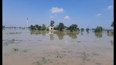 The water level in Ravi dipped by 2 feet in Gurdaspur district on Tuesday even as the army rescued around 500 people, including children and women, stuck at Kasowal and Ghanieke Bet villages in Dera Baba Nanak area