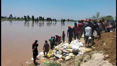 Thirty-one villages in Tarn Taran district situated near the Sutlej are flooded and many people have been feared trapped as all floodgates of Harike headworks were opened, said officials. Thirty-one villages in Tarn Taran district situated near the Sutlej are flooded and many people have been feared trapped as all floodgates of Harike headworks were opened, said officials.