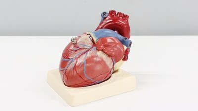 Robotic cardiac surgery: Expert on advantages of robot-assisted heart surgery (Unsplash) Robotic cardiac surgery: Expert on advantages of robot-assisted heart surgery (Unsplash)