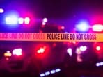The accident caused a loss of <span class='webrupee'>₹</span>5 lakh to the shepherd, said the police. (REPRESENTATIVE PIC) The accident caused a loss of <span class='webrupee'>₹</span>5 lakh to the shepherd, said the police. (REPRESENTATIVE PIC)