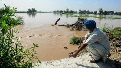 An elderly person watches trees being washed away due to the rise in water level of a river in Punjab on Tuesday. (ANI Photo)