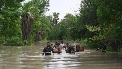Firefighters and local residents rescue 120 cows stuck in a cowshed due to the floodwaters in Sector 168 in Noida on Wednesday. (Sunil Ghosh/HT Photo)