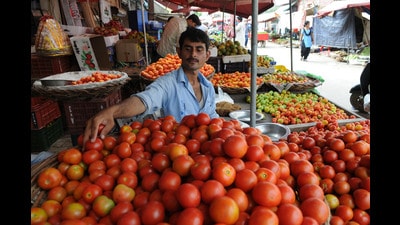 It may still take two more months for tomato prices to return to normal, according to state agriculture department officials. (HT FILE PHOTO) It may still take two more months for tomato prices to return to normal, according to state agriculture department officials. (HT FILE PHOTO)