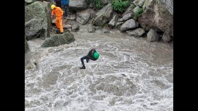 Majority of the tourist were from Punjab, Haryana, Jammu & Kashmir, Assam, West Bengal ,Tamil Nadu and Maharashtra. (HT Photo)