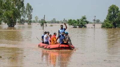 State Disaster Response Force personnel conduct rescue operations in flood-affected regions of Punjab. (ANI Photo) State Disaster Response Force personnel conduct rescue operations in flood-affected regions of Punjab. (ANI Photo)