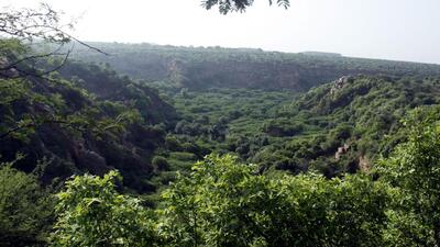 The bill proposes to modify the Forest (Conservation) Act. The bill proposes to modify the Forest (Conservation) Act.