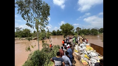 The breach at Makored Sahib village is around 100-ft wide while the one at Phulad is 65ft and the third at Mandvi village is 45ft wide. The breach at Makored Sahib village is around 100-ft wide while the one at Phulad is 65ft and the third at Mandvi village is 45ft wide.