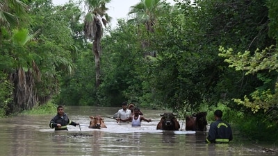Fire fighters and locals on Wednesday rescued 120 cows stuck in the cowshed due to overflooding of Yamuna river, in sector 168 in Noida, Uttar Pradesh. The rise in Yamuna level is being attributed to the continuous rainfall in the upper catchment areas and saturated soil from heavy precipitation in Delhi and nearby regions over the weekend. (HT Photo by Sunil Ghosh) Fire fighters and locals on Wednesday rescued 120 cows stuck in the cowshed due to overflooding of Yamuna river, in sector 168 in Noida, Uttar Pradesh. The rise in Yamuna level is being attributed to the continuous rainfall in the upper catchment areas and saturated soil from heavy precipitation in Delhi and nearby regions over the weekend. (HT Photo by Sunil Ghosh)
