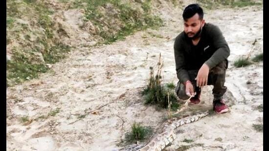 Ankit ‘Tarzan’ also called Sarpmita taps social media for rescuing reptiles, wild animals in Prayagraj (sourced)