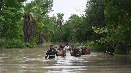 Firefighters and local residents rescue 120 cows stuck in a cowshed due to the floodwaters in Sector 168 in Noida on Wednesday. (Sunil Ghosh/HT Photo)