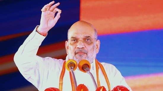 Amit Shah said those who are rejoicing the Supreme Court verdict are delusional.