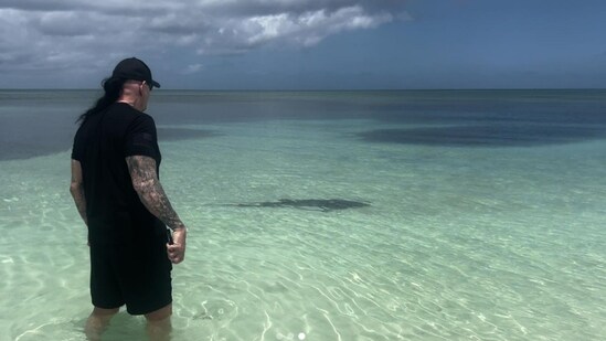 The Undertaker staring at the shark swimming dangerously close to his wife. (Instagram/@mimicalacool)