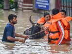 Delhi floods alert: NDRF personnel resuce a livestock at flood-hit at Nigam Bodh Ghat as the swollen Yamuna river floods low-lying areas, in New Delhi, Thursday, July 13, 2023. (PTI) Delhi floods alert: NDRF personnel resuce a livestock at flood-hit at Nigam Bodh Ghat as the swollen Yamuna river floods low-lying areas, in New Delhi, Thursday, July 13, 2023. (PTI)