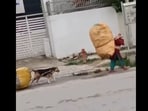 Dog dragging massive scrap bag along with its human. Dog dragging massive scrap bag along with its human.