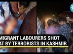 MIGRANT LABOURERS SHOT AT BY TERRORISTS IN KASHMIR