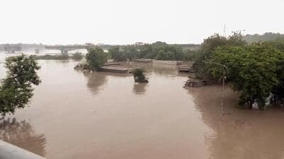 A view of the flooded area as Yamuna river reaches dangerous levels due to rains and release of water from Hathnikund Barrage, in New Delhi on Thursday. (ANI) A view of the flooded area as Yamuna river reaches dangerous levels due to rains and release of water from Hathnikund Barrage, in New Delhi on Thursday. (ANI)