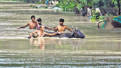 People wade through a flooded street along with their domesticated animals near Mayur Vihar in New Delhi on Thursday. (Raj K Raj/HT Photo) People wade through a flooded street along with their domesticated animals near Mayur Vihar in New Delhi on Thursday. (Raj K Raj/HT Photo)