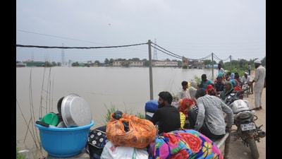 The revenue department officials said about 1,000 hectares of agricultural land has been affected in Loni by the rising waters. (Sakib Ali/HT Photo) The revenue department officials said about 1,000 hectares of agricultural land has been affected in Loni by the rising waters. (Sakib Ali/HT Photo)