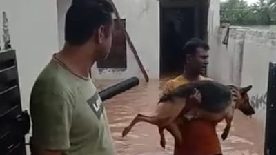Cops recusing a dog from after flood water entered a house in Ambala on Thursday.