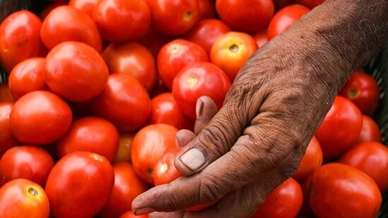 Karnataka's Kolar farmer sells 2000 boxes of tomatoes for Rs. 38 lakhs: Report