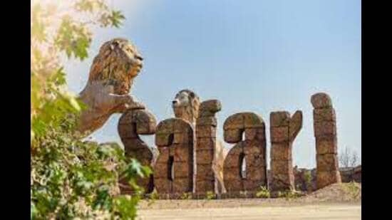 The Etawah safari with a perimeter of 8 km is one of the biggest in Asia. (HT Photo)