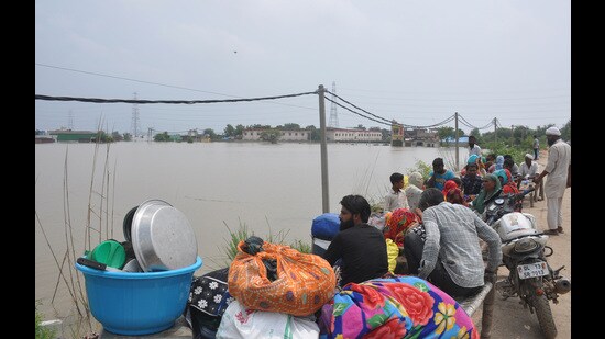 The revenue department officials said about 1,000 hectares of agricultural land has been affected in Loni by the rising waters. (Sakib Ali/HT Photo)