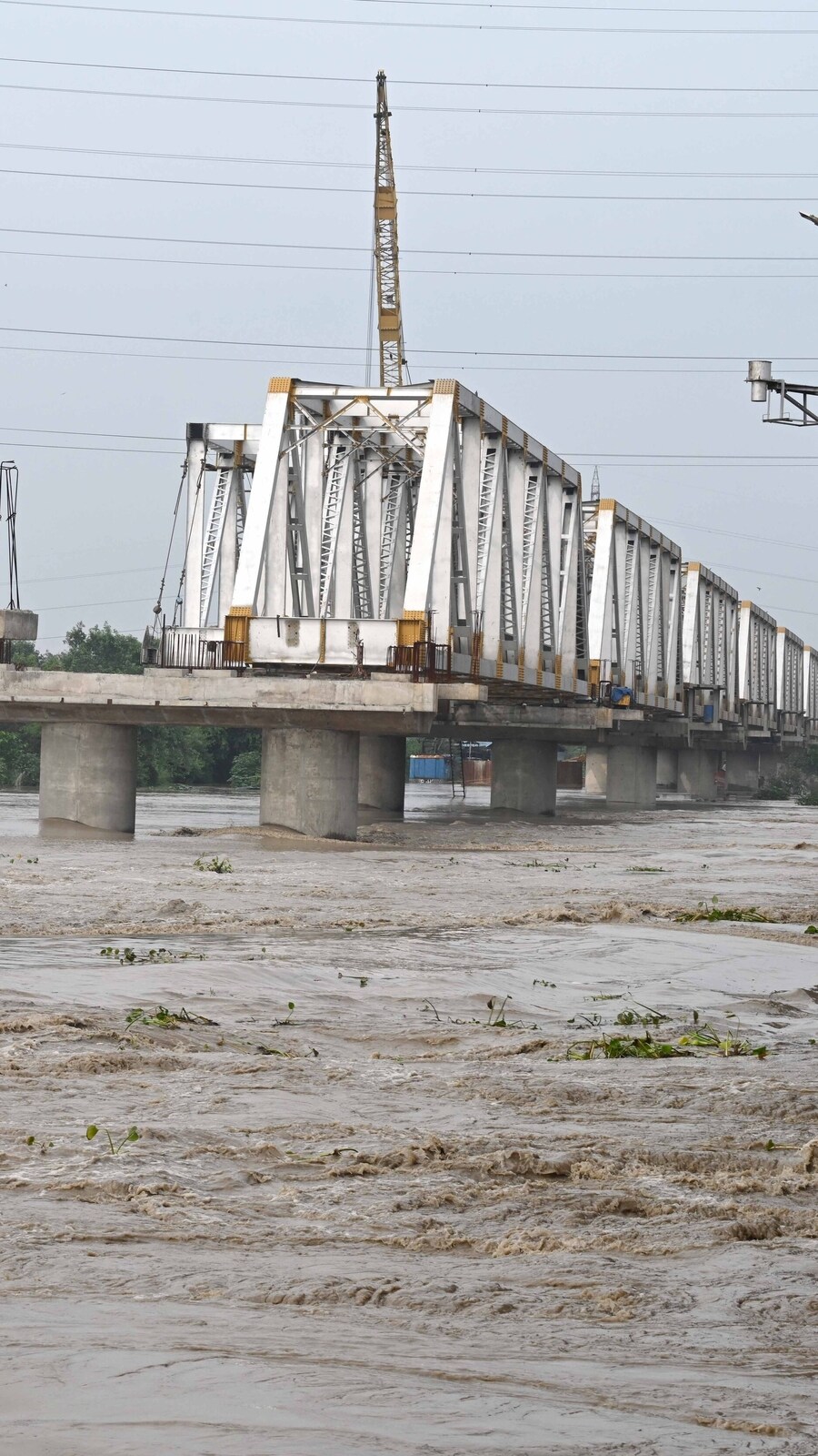 Yamuna-8