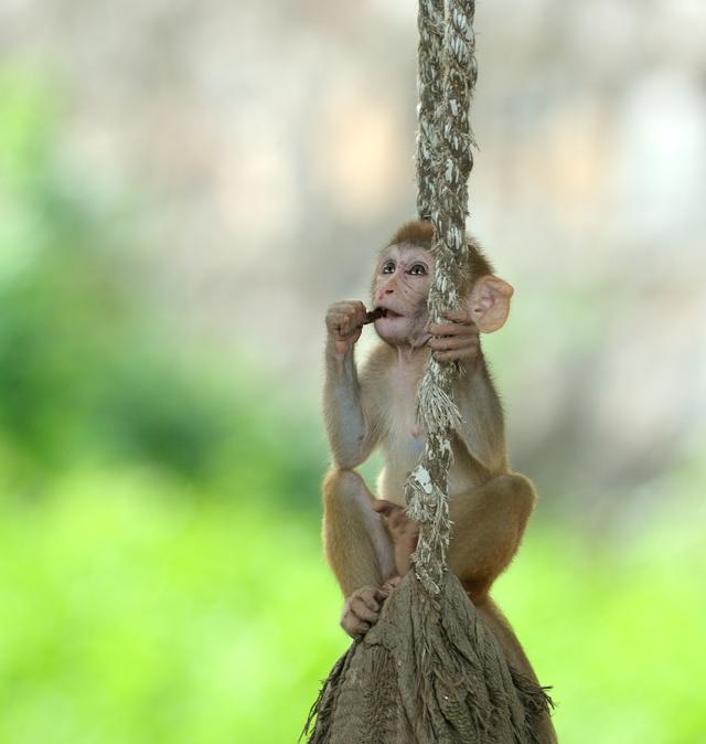 “Even the babies awaited their turn on the swings patiently.” (Prerna Jain) “Even the babies awaited their turn on the swings patiently.” (Prerna Jain)