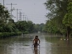 A man rides a cart on a flooded road behind the Red Fort after a rise in the water level of the river Yamuna after heavy monsoon rains, in New Delhi. (Reuters)