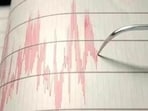The German Research Center for Geosciences confirmed the quake. (Representative Image) The German Research Center for Geosciences confirmed the quake. (Representative Image)