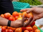 Tomato prices are soaring high (PTI)