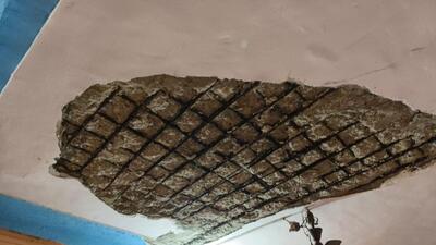 46-year-old woman killed, four injured as portion of ceiling collapses in Uttan 46-year-old woman killed, four injured as portion of ceiling collapses in Uttan