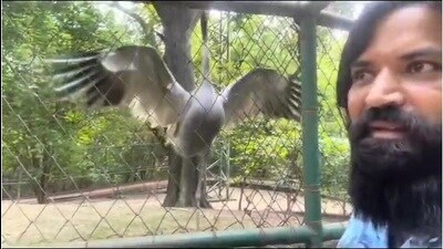 A screengrab from the video that Arif took and uploaded to the internet (HT Photo)