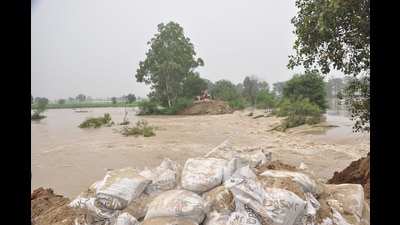 At the site, around 300 workers and officials were engaged in filling the ever-widening gap with boulders, sandbags, and other materials such as tin sheets. (Sakib Ali/HT photo) At the site, around 300 workers and officials were engaged in filling the ever-widening gap with boulders, sandbags, and other materials such as tin sheets. (Sakib Ali/HT photo)