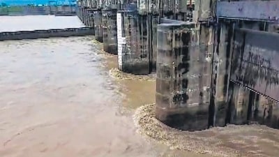 Hathinikund Barrage in Haryana’s Yamunanagar district. (PTI) Hathinikund Barrage in Haryana’s Yamunanagar district. (PTI)
