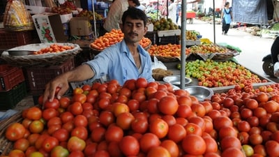 The sharp rise in tomato prices has been reported across the country, and is not just limited to a particular region or geography. (HT File Photo) The sharp rise in tomato prices has been reported across the country, and is not just limited to a particular region or geography. (HT File Photo)